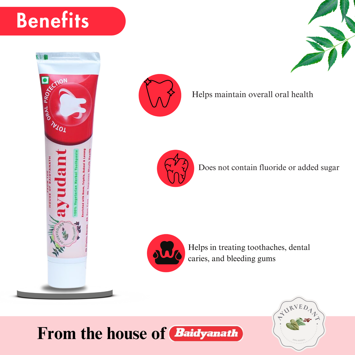 Ayurvedant Ayudant Toothpaste