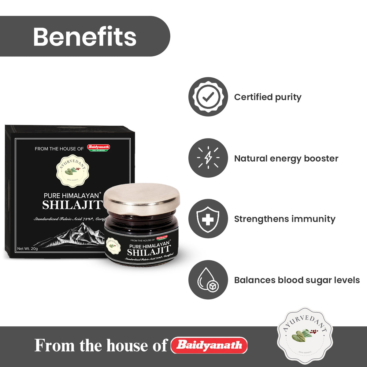 Shilajit Resin-Ayurvedant